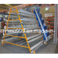 a Type Automatic Poultry Farm Equipment Layer Chicken Cage